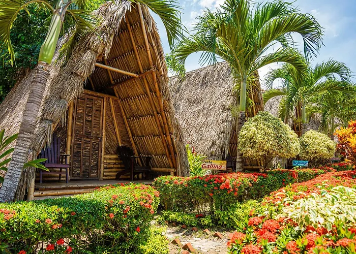 Tiki Hut Hostel Palomino